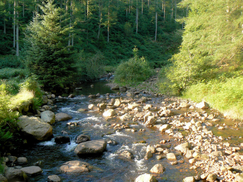 Bleng River Bleng River